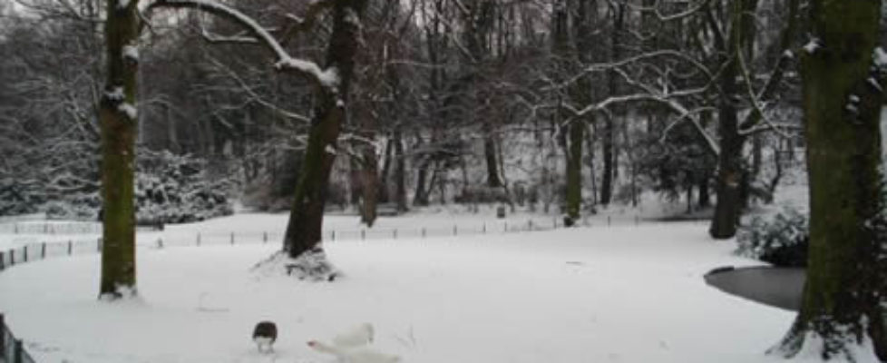 Schaerbeek Parc Neige 2