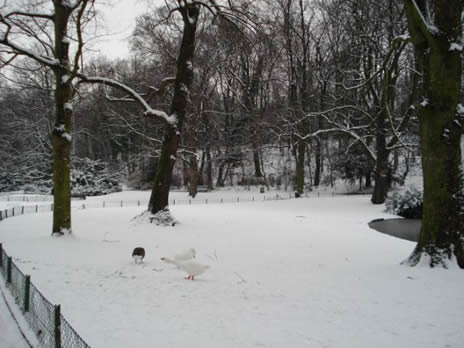 Schaerbeek Parc Neige 2