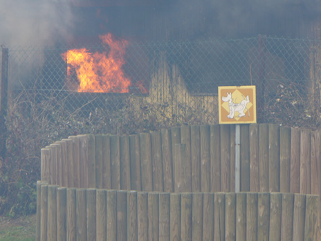 Schaerbeek feu 6