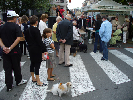 chien2.jpg