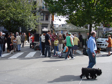 chien3.jpg