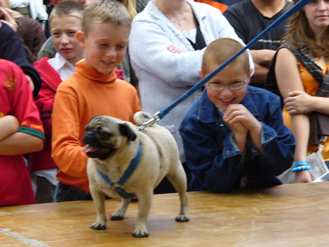 chien7.jpg