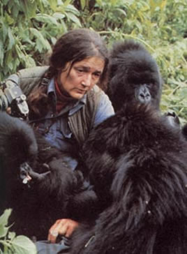 dianfossey.jpg