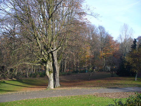 parc2.jpg