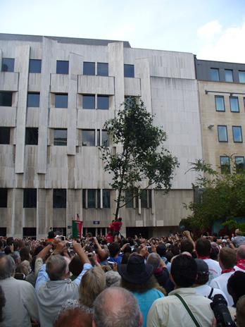 b31.jpg