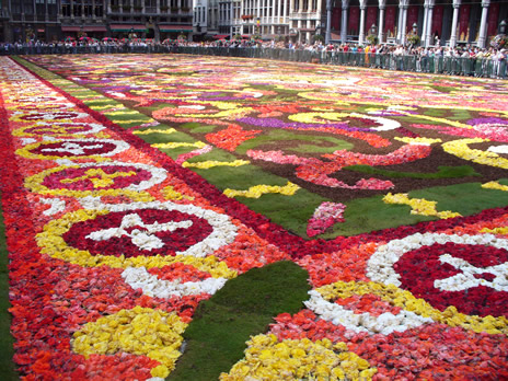 fleurs21.jpg