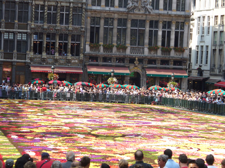 fleurs4.jpg