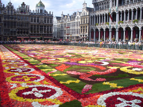 fleurs5.jpg