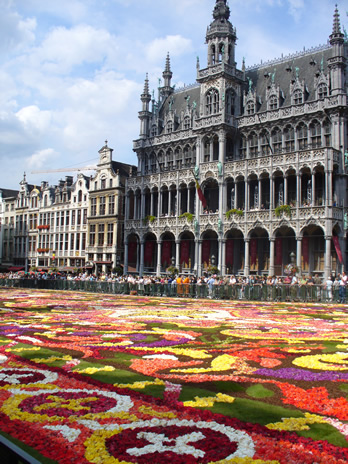 fleurs6.jpg