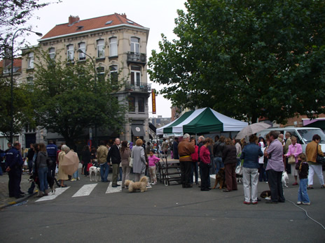 chien2.jpg