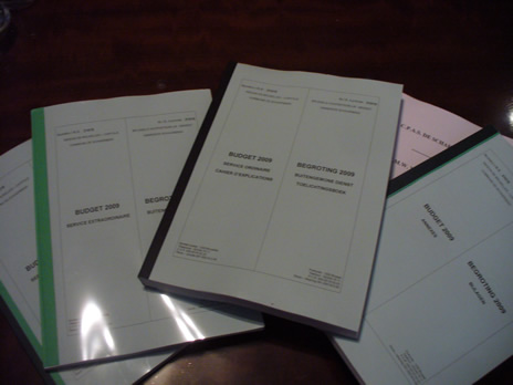 docbudget2009.jpg
