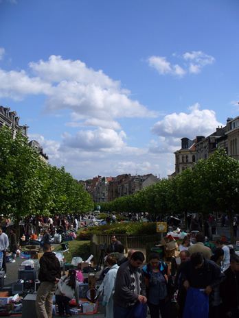 l1.jpg