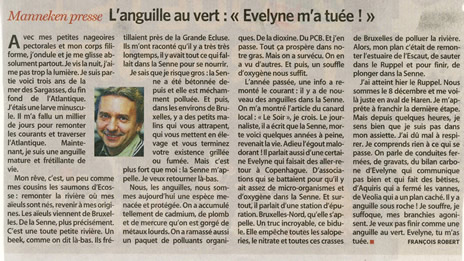 anguille.jpg