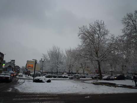 n42.jpg
