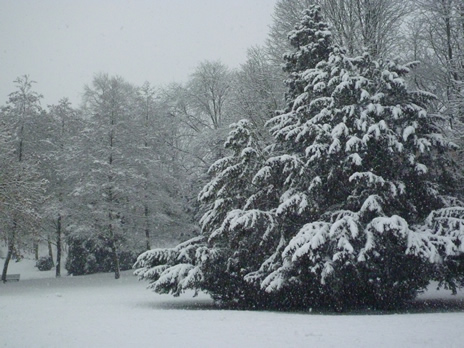 parcneige5.jpg