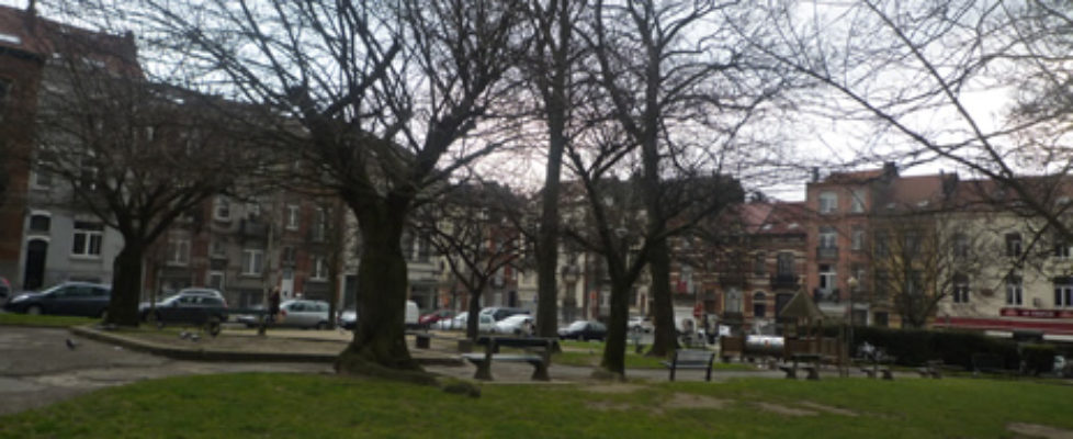 Photo 015