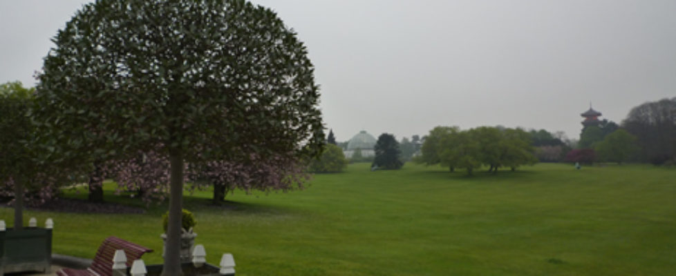 Photo 050