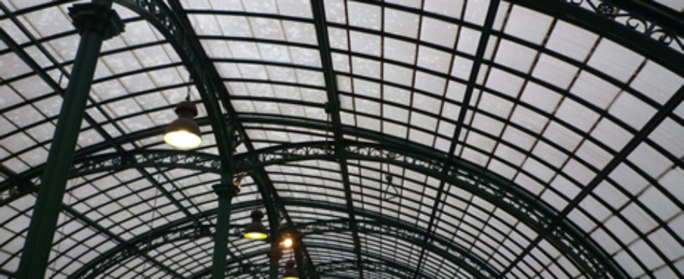 Photo 081