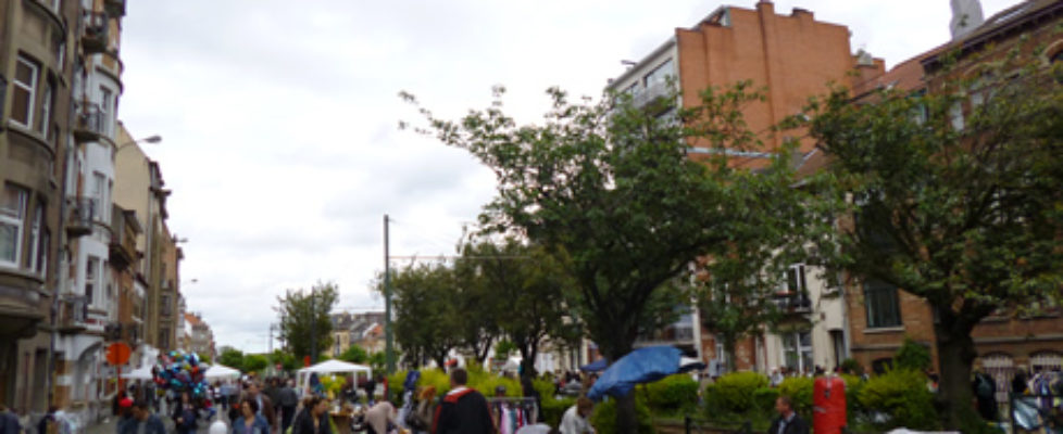 Photo 038