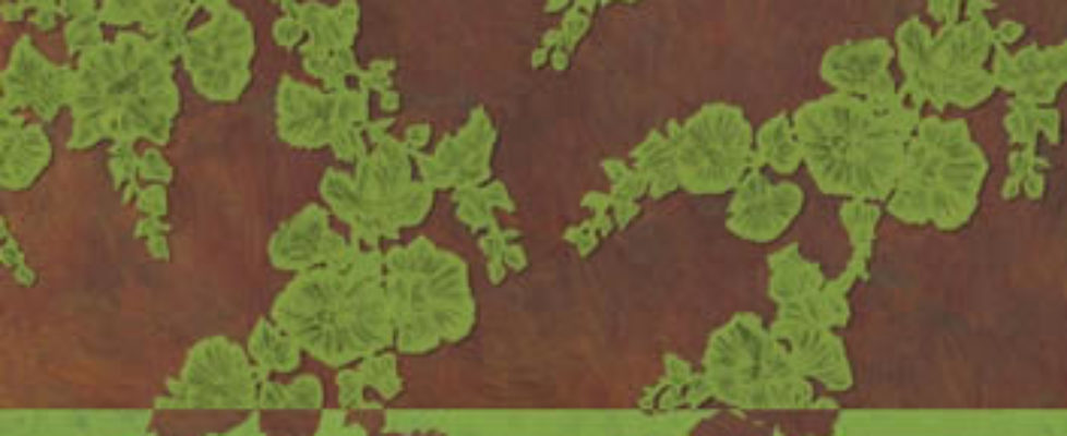 01_Programme_PO