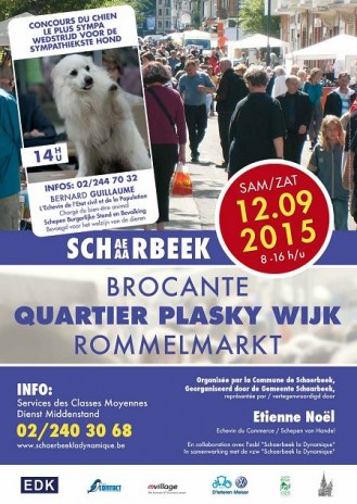 affiche_plasky